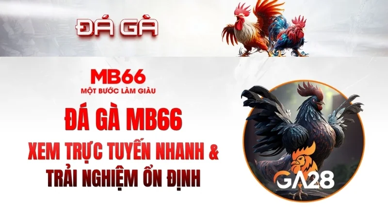 Đá Gà MB66 – Xem Trực Tuyến Nhanh, Ổn Định 2026 Đá Gà MB66 – Xem Trực Tuyến Nhanh, Ổn Định 2026